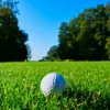 grass types for golf